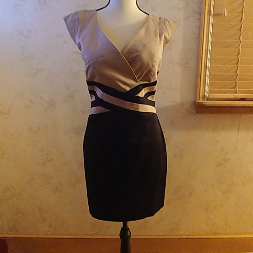 NWOT -Black & Tan VENUS dress